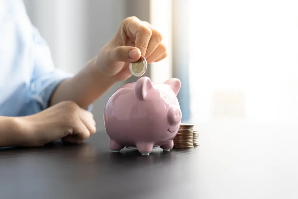 Reap the Benefits: Energy-Saving Tips for Your HVAC System - Person putting a coin into a pink piggy bank.